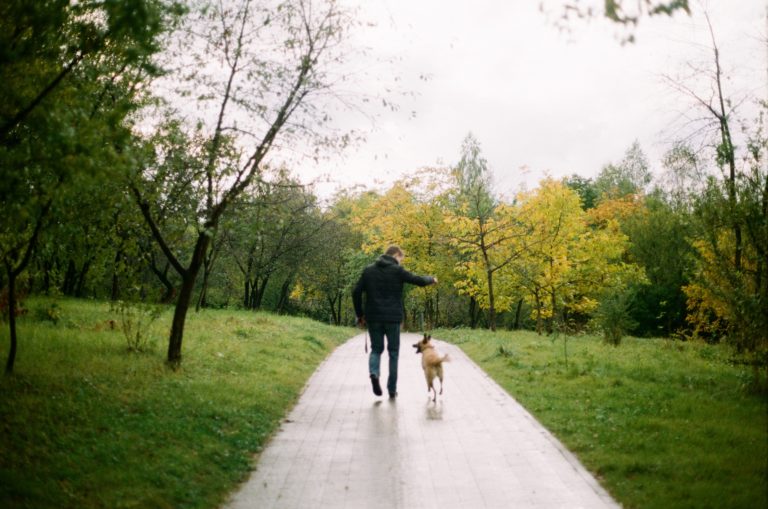 man walking through park with dog surrounded by trees and green grass