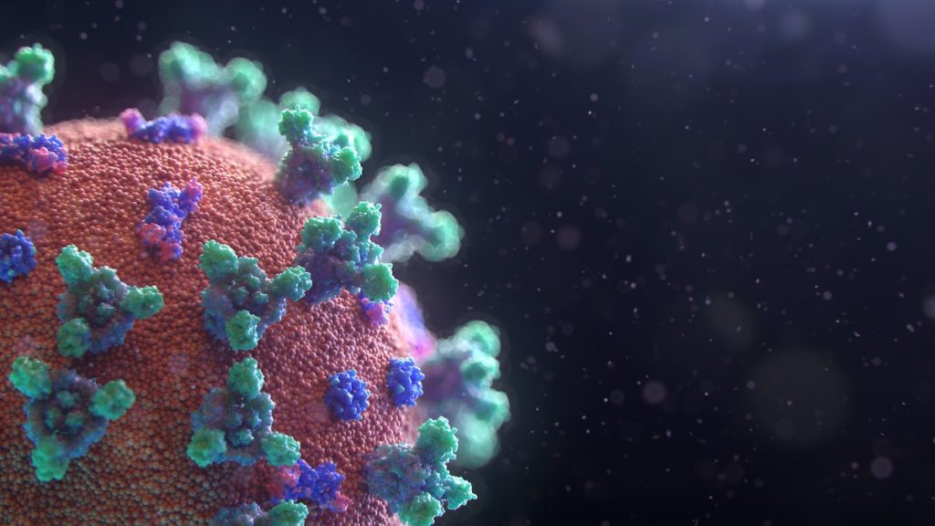 microscopic image of virus